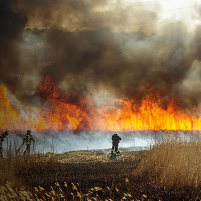 Disaster Resource Center