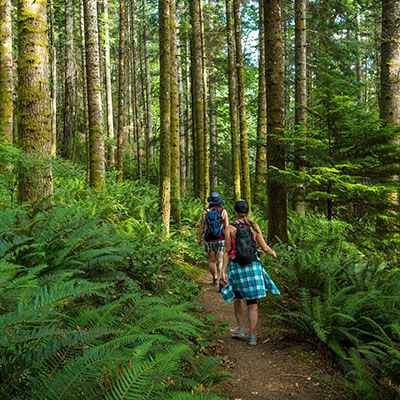 Roadmap for Canadian companies facing tariff uncertainty